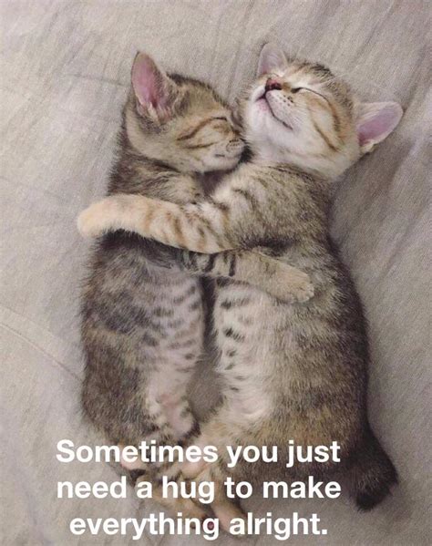 Wholesome Hug Rwholesomememes Wholesome Memes Know Your Meme