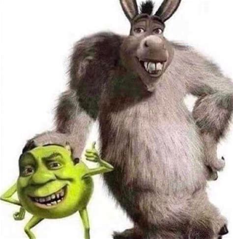 Donkey And Shrek Memes Shrek Memes Divertidos Im Genes Humor Sticas