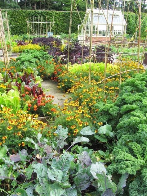 Vegetable Garden Layout 7 Best Design Secrets 1000 In 2020 Garden