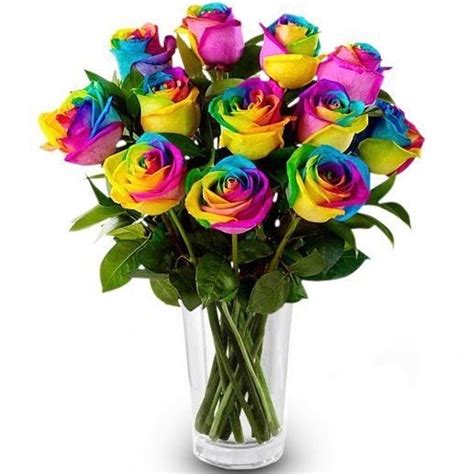 Dozen Rainbow Ecuadorian Roses Manila Free Same Day Delivery