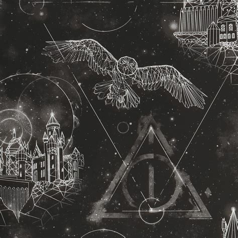 23 Black Harry Potter Wallpapers Wallpapersafari