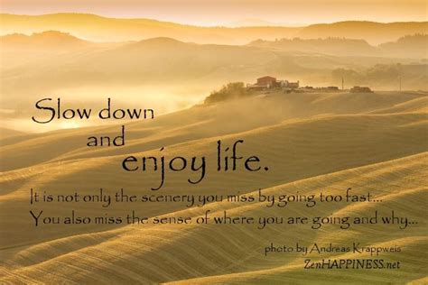 Slow Down And Enjoy Life Enjoying Life Quotes Slow Down And Enjoy