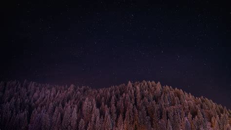 galaxy, Forest, Night, Landscape, Trees, Photography, Stars Wallpapers 