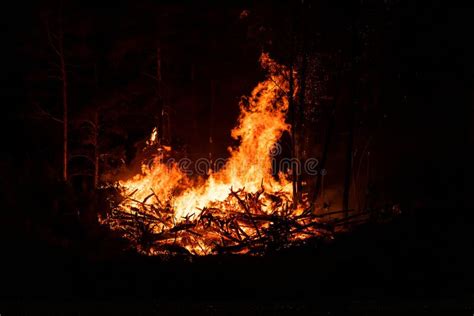 Intense Flames From A Massive Forest Fire At Night Stock Image Image