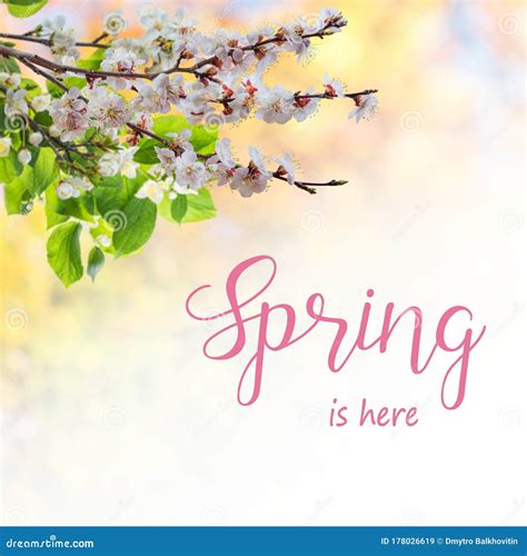 Lettering Spring Here Stock Photos Free And Royalty Free Stock Photos
