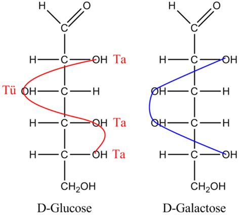 Difference Between Glucose And Galactose Compare The Difference