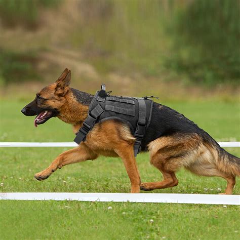 Military Dog Tactical Harness Large Dog K9 Training Harness Vest