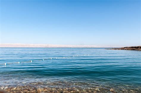 Coast Of The Dead Sea Stock Photo Image Of Explore Dead 56735234