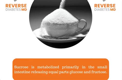 Sucrose Table Sugar Dr Padda Institute Reversing Diabetes