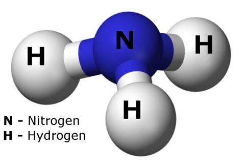 Pkb = 4.74 nh4+ (conjugate. Is Ammonia an Acid or Base? » Science ABC