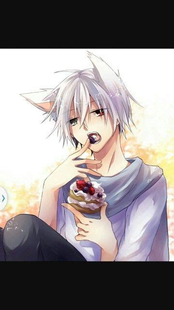 White Hair Anime Wolf Boy Eating A Cake