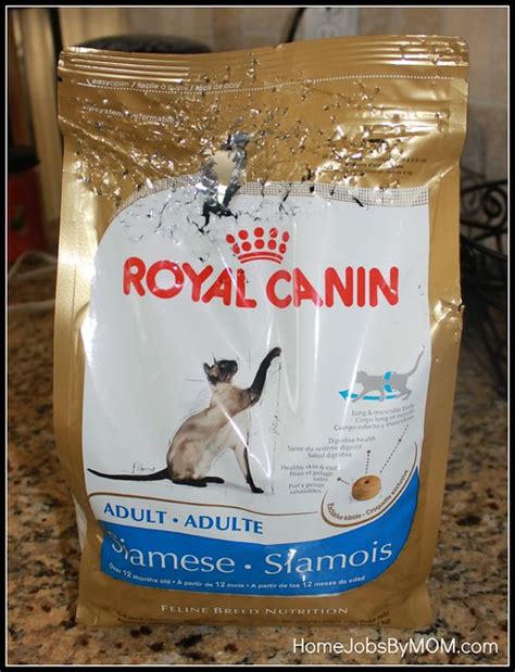 Royal Canin Adult Siamese Dry Cat Food Review Home Jobs By Mom