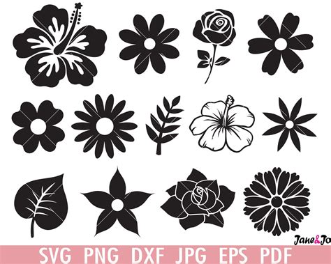 Flowers SVG Bundle Flowers Clipart Leaves Svg Rose SVG Etsy
