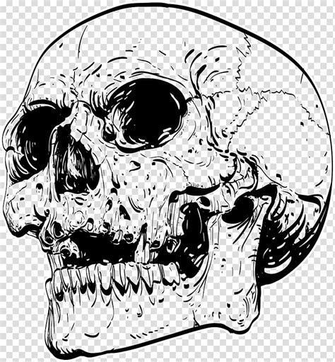 Black Skull Sketch T Shirt Skull Drawing Work Of Art