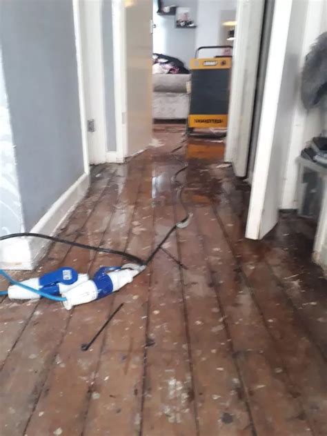 Harlow Mum Of Three Forced To Live In Damp And Mould Following Flooding Essex Live