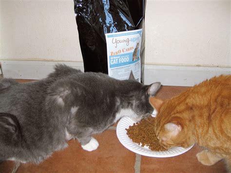 We did not find results for: Grain-Free and Low-Carb Dry Food Brands for Cats