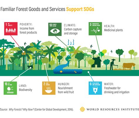Forests And Sdgs Taking A Second Look Wri Brasil
