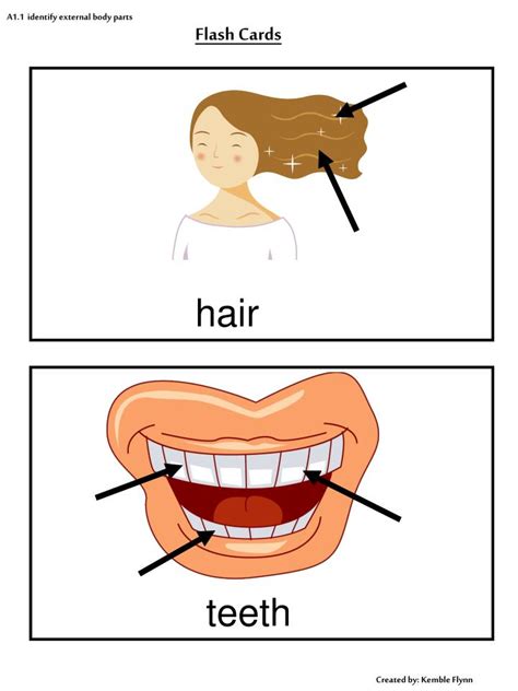 Name of parts of the body. PPT - A1.1 identify external body parts PowerPoint ...