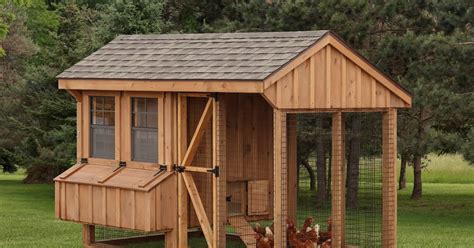 chicken coop kits a beginner s guide rijal s blog