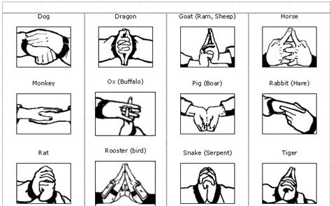 All Naruto Hand Signs Jutsu List Shefalitayal