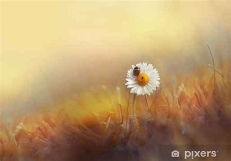 Es gibt immer mal wieder die situation, virtuelle. Aufkleber Blume Gänseblümchen Kamille mit Marienkäfer im Gras auf Gold Hintergrund Sommer Sonne ...