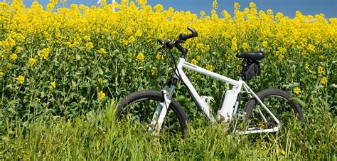 Die wicklungen von 2fach polumschaltbaren motoren mit einem drehzahlverhältnis von 1:2 sind in dahlanderschaltung ausgeführt. Polumschaltbare Motoren, als Spezialmodell: die ...