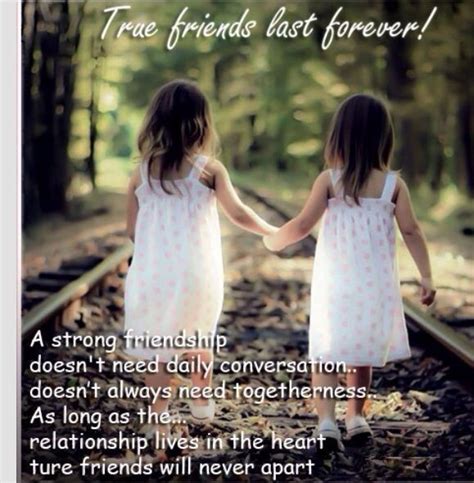 20 Best Friend Quotes For Your Cute Friendship Best Friends Forever