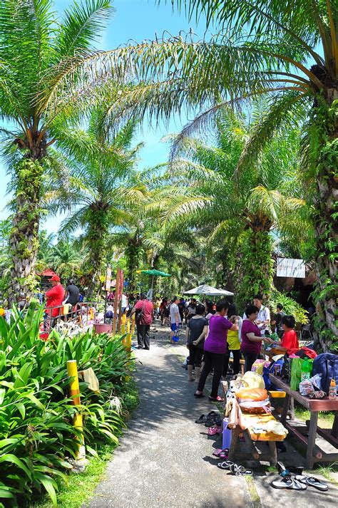 (a) illustration of ph, temperature, and. Sungai Siput Boy: Felda Residence Hot Springs Sungai Klah ...