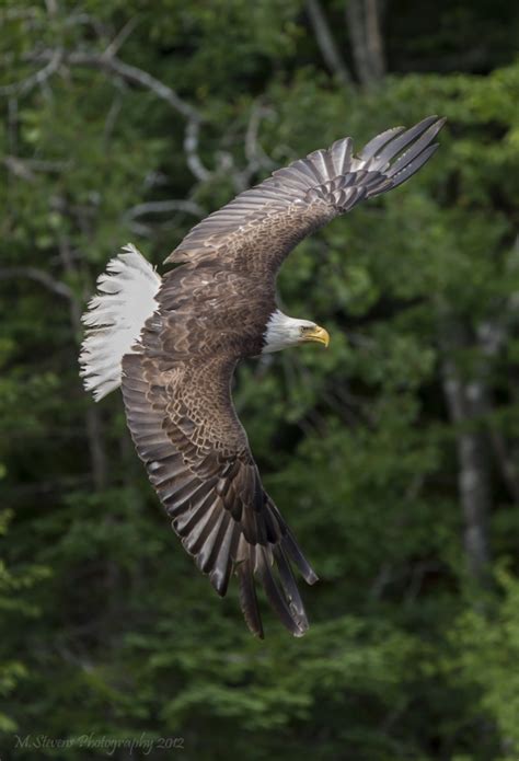 Spread Eagle Outdoor Photographer