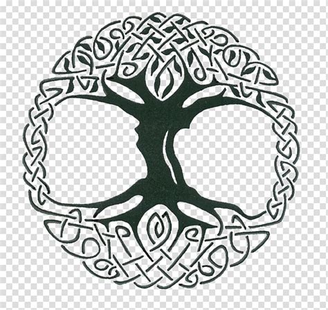 Celts Tree Of Life Celtic Knot Celtic Sacred Trees World Tree Png