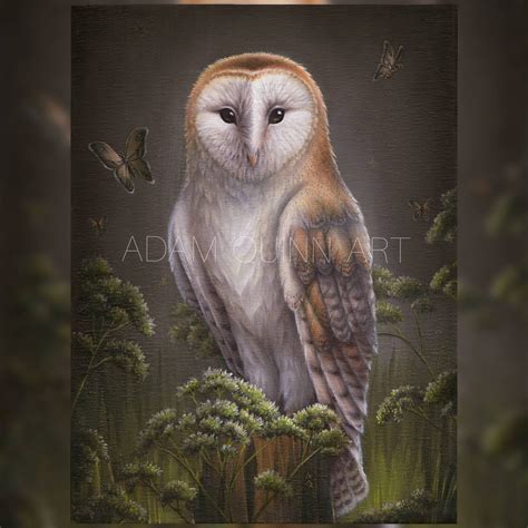 Barn Owl Painting Canvas Print 11x14 Or 12x16 Etsy
