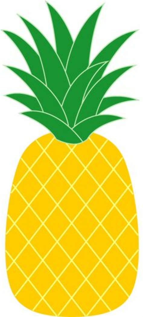 Download High Quality Pineapple Clipart Tropical Transparent Png Images