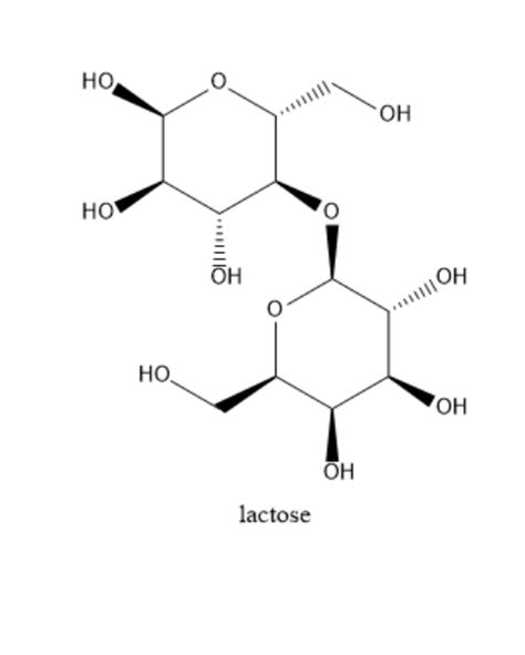 Structure Of Maltose Lactose And Sucrose