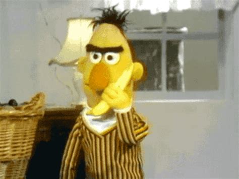 Sesame Street Omg GIF Find Share On GIPHY