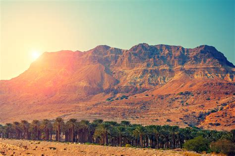 Judean Desert In Israel At Sunset Licensed Image