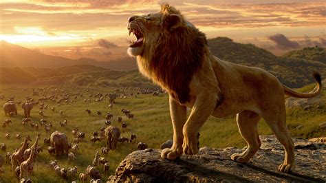 Review The Lion King Is A Visually Beautiful Remake Of The Original