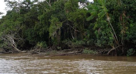 ¿cuál Es El Río Más Caudaloso Del Mundo Iagua