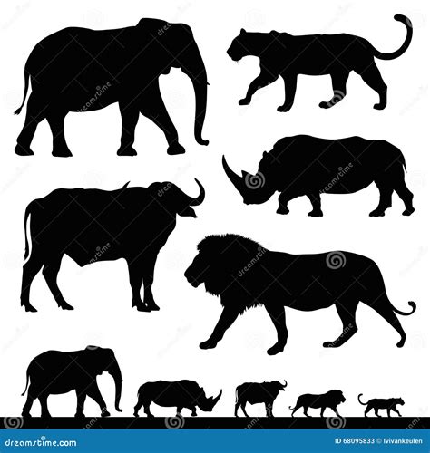 Big Five African Safari Animals Stock Illustration Illustration Of