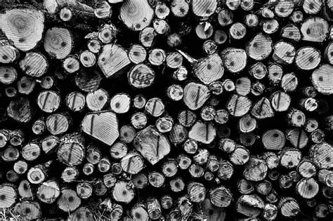 Bark Batch Black And White Chopped Chopped Wood Industry Like