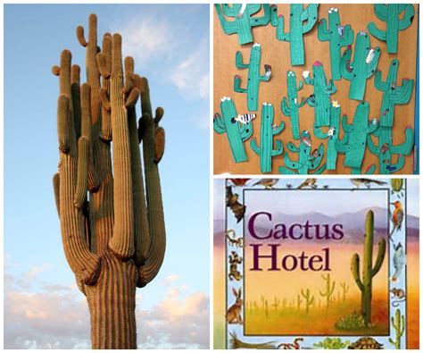 We teach and learn from each other. We love reading Cactus Hotel. | Habitat activities, Cactus ...