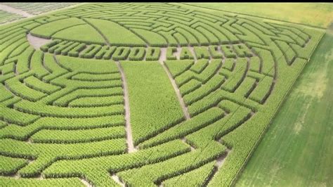 Corn Maze Raises Awareness For Childhood Cancer