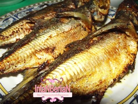 Adapula ikan cencaru goreng berlada, bakar masak cekur juga amat disukai. Ikan Cencaru sumbat sambal & air asam