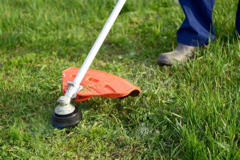 7 Creative Ways To Cut Grass Without A Lawnmower My Backyard Life