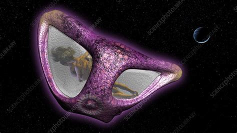Sex In Space Artwork Stock Image C0017124 Science Photo Library