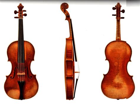The Violin Shop Paganinis Violin Il Cannone