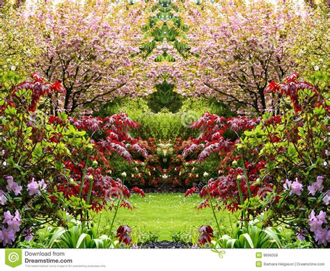 Beautiful Springtime Garden Stock Photo Image Of Grow Nature 8696058