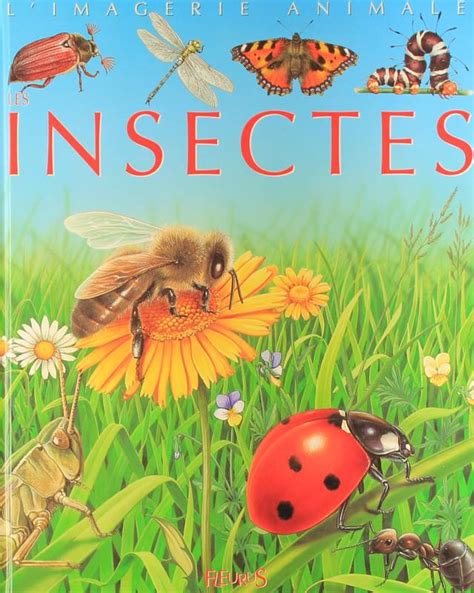 Livre 19les Insectes Imagerie Animale Pour Les Faire Connaître Aux