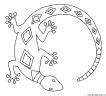 Dibujo De Salamandra Dibujos Y Juegos Para Pintar Y Colorear Pdmrea