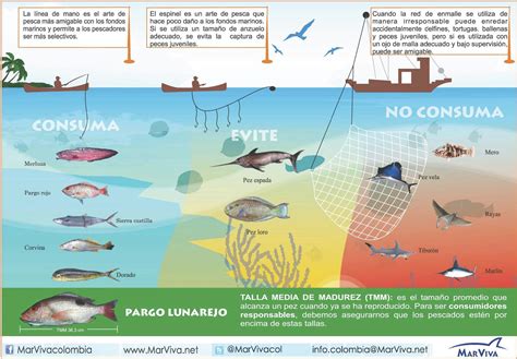 Escriba La Diferencia Entre Pesca Artesanal E Industrial Ayuda Por