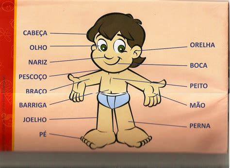 Educar é Arte Partes Do Corpo EducaÇÃo Infantil Maternal 3